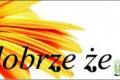 FUNDACJA DOBRZE E JESTE poszukuje wolontariuszy 