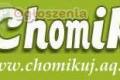 Program Partnerski