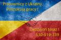 Pracownicy z Ukrainy szukaj� pracy w Polsce od zaraz! Zadzwo�: 530519339